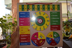 Seasons Board